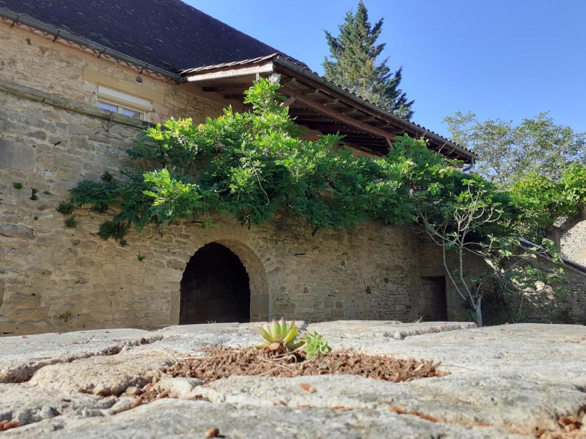 Gite "Las Casitas Du Lot" Dans Le Perigord Frayssinet-le-Gélat 外观 照片